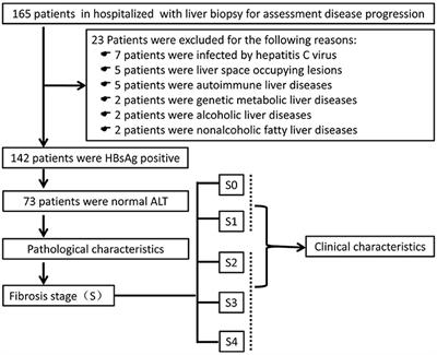 Platelet-to-Portal Vein Width Ratio and Platelet-to-Spleen Thickness Ratio Can Be Used to Predict Progressive Liver Fibrosis Among Patients With HBV Infection With HBeAg-Negativity and a Normal ALT Level